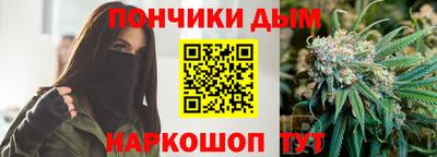 индика Шелехов