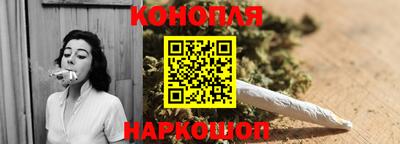 индика Шелехов