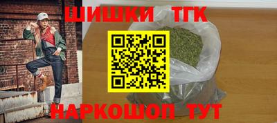 индика Шелехов