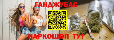 индика Шелехов