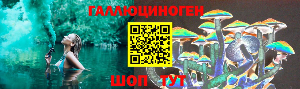 Псилоцибиновые грибы Magic Shrooms Новоалександровск